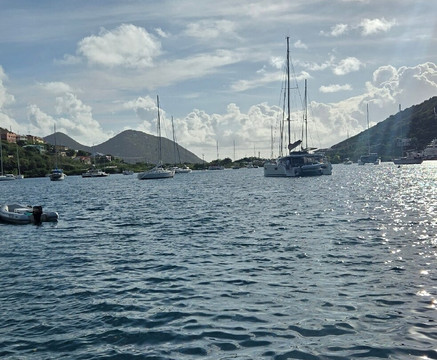 Palm Tree Charters-克鲁兹湾必去景点