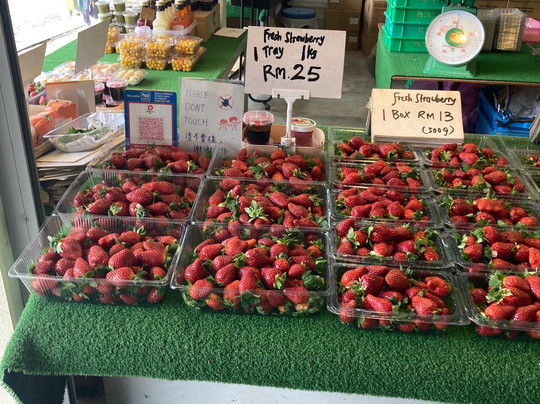 Raju Hill Strawberry Farm-金马仑高原必去景点