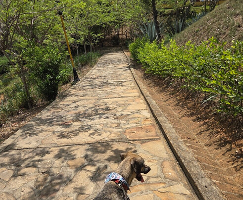 Panachi-布卡拉曼加必去景点