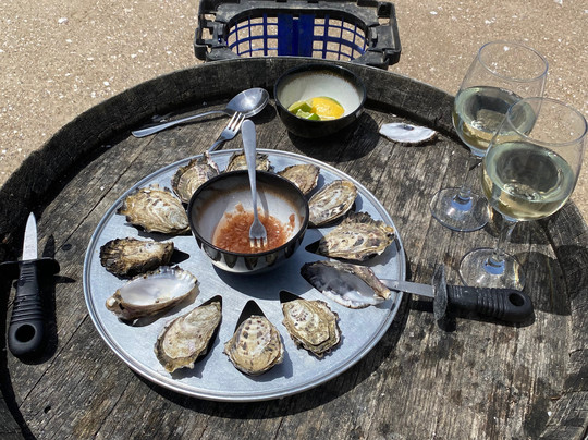 Oyster Bay Tours-科尔斯湾必去景点