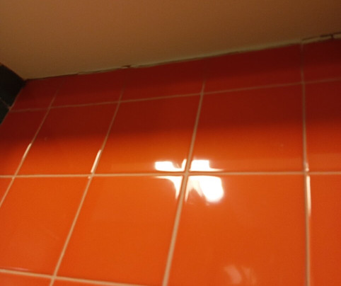 Hotel Cristoforo Colombo主图