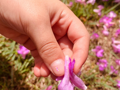 Valentim Iogurteria Artesanal-多明戈斯-马丁斯必去景点