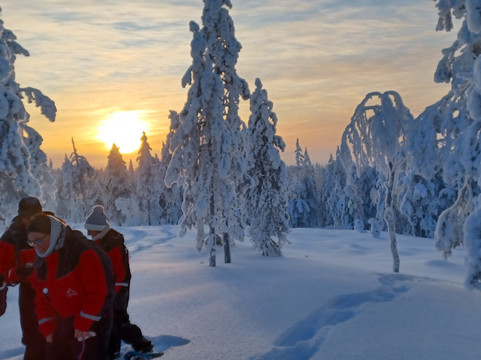 拉普兰熊之家酒店主图