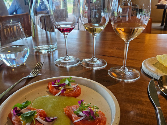 Mendoza Viagem-门多萨必去景点