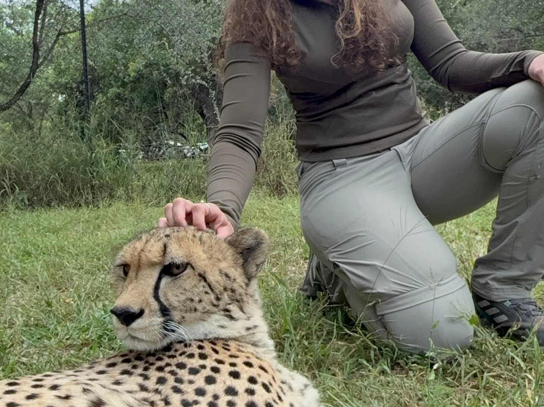 Wildside Tours and Safaris - Day Tours-约翰内斯堡必去景点