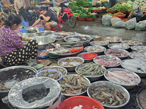 Homey Travel-芹苴必去景点