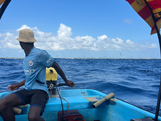 Suley Taxi Driver Zanzibar and Tours-孥归必去景点