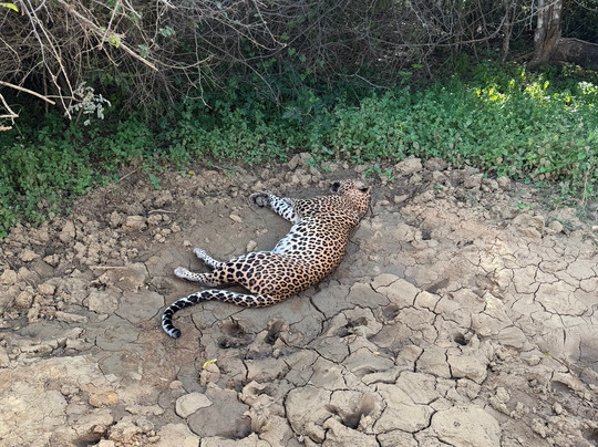 Freedom Safari Jeep Tours-蒂瑟默哈拉默必去景点