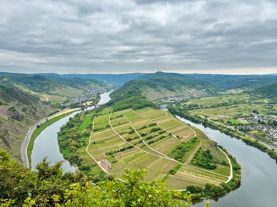 Moselschleife Bremm Aussichtspunkt