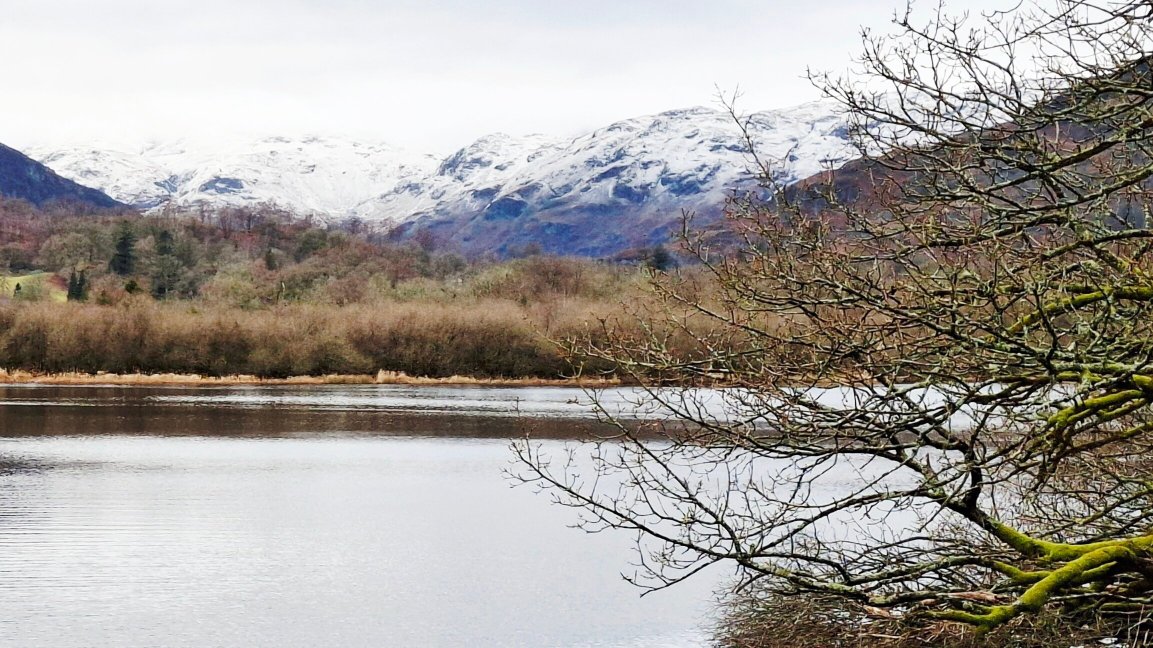 The Eltermere Inn-官方