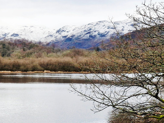 The Eltermere Inn主图