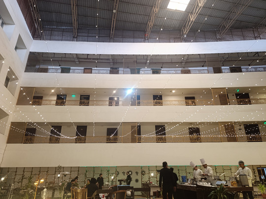 Velvet Clarks Exotica主图