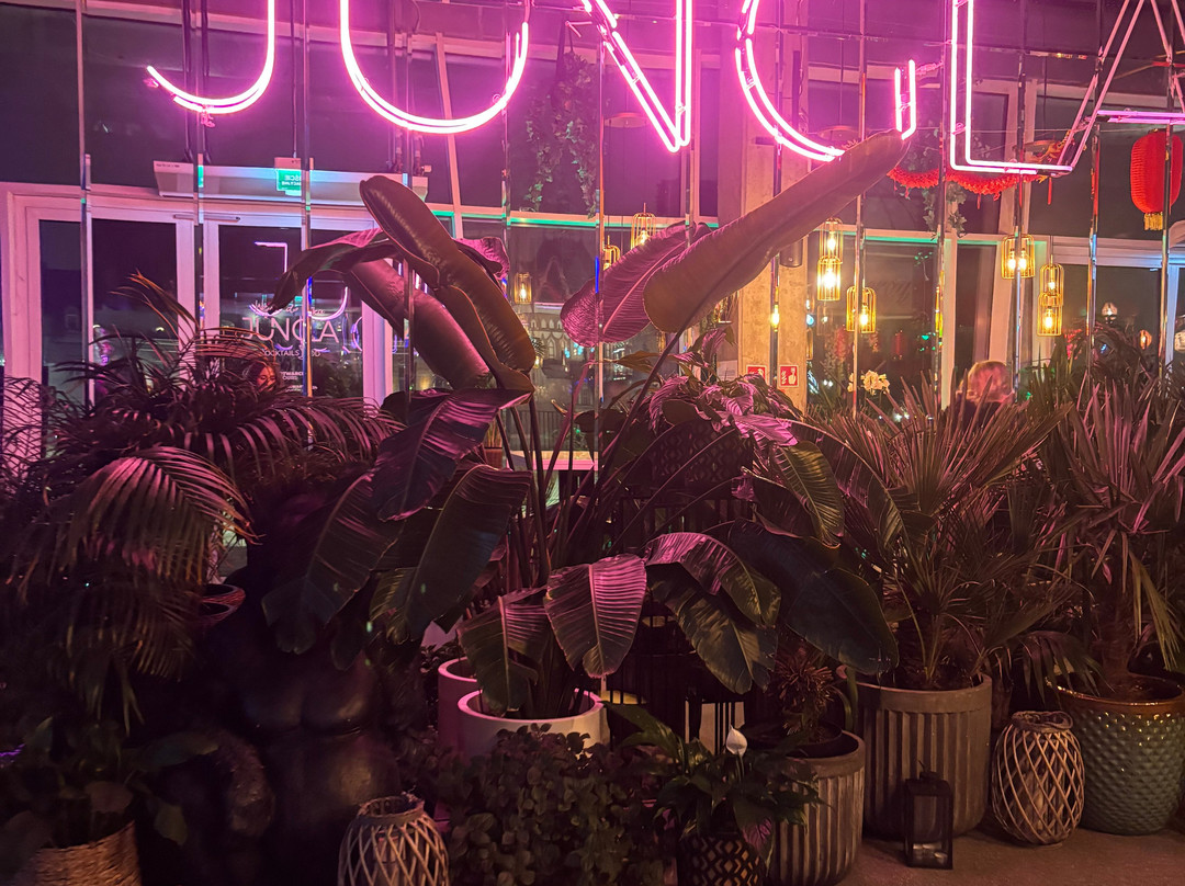 Jungla-格但斯克必去景点