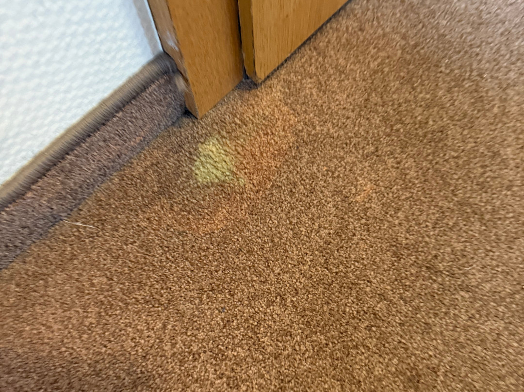 Gästehaus Alte Schule主图