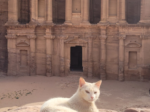 Lost in Petra-佩特拉必去景点