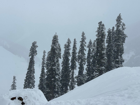 The Woodswalk Treks And Tours-帕哈甘必去景点
