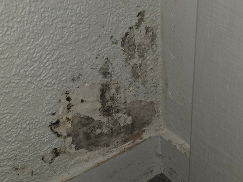 埃斯卡格堤耶酒店主图