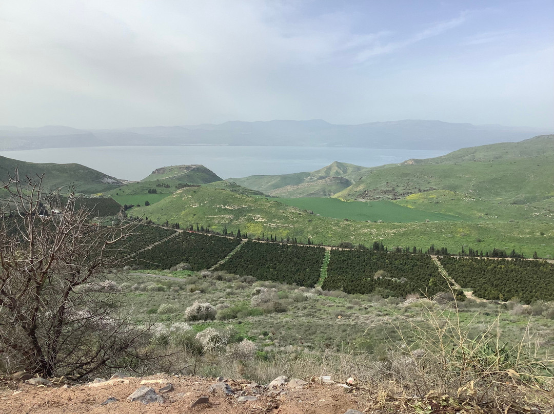 Susita (Hippos) Nature Reserve and National Park-Ein Gev必去景点