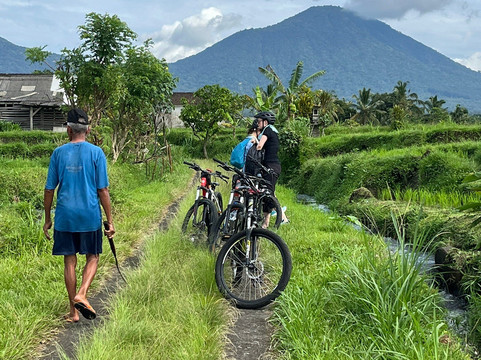 Jatiluwih Cycling & E-bike Tours With Bali By Pedals-达巴南必去景点