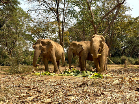 Somboon Legacy Foundation-Klon Do必去景点