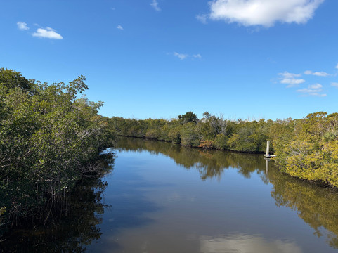 Rookery Bay National Estuarine Research Reserve-那不勒斯必去景点