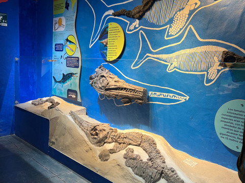 Centro de Investigaciones Paleontologicas - CIP-莱瓦镇必去景点