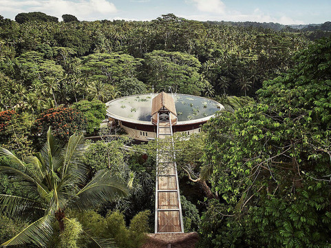 巴厘岛乌布山妍四季度假酒店主图