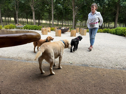 The Truffle Farm Tasmania-德洛兰恩必去景点
