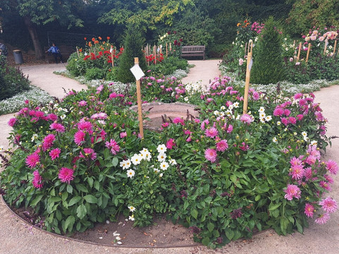 Dahliengarten-富尔达必去景点