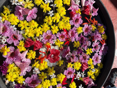 Le Paradis du Safran-Ourika必去景点