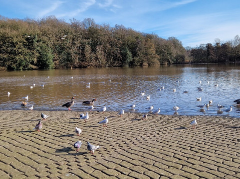 Rufford Abbey Country Park-Ollerton必去景点