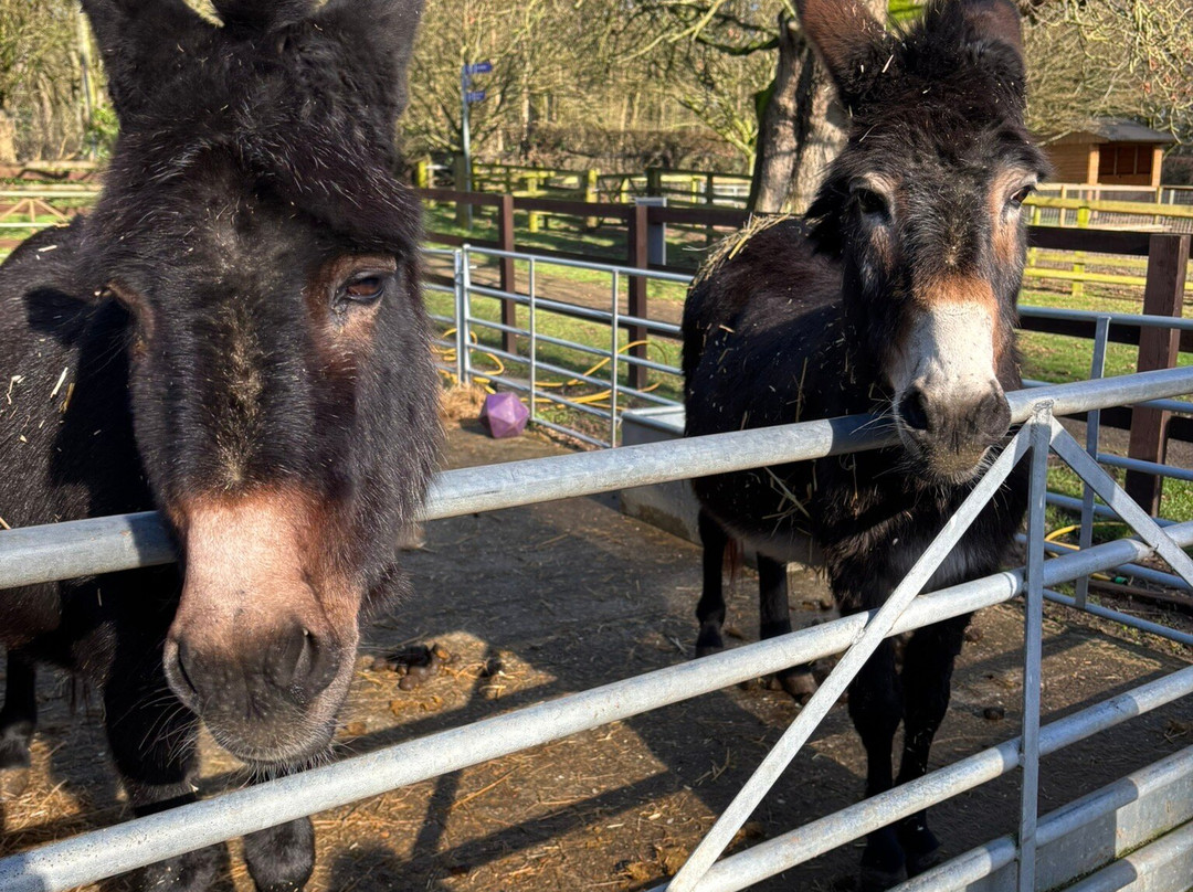 Thrift Farm-Whaddon必去景点