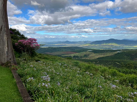 瓦登王花园庄园酒店主图