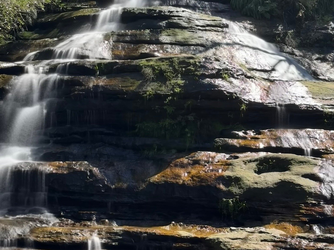 AEA Luxury Tours-Blue Mountains National Park必去景点