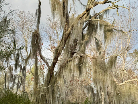 Louisiana Tour Company-Crown Point必去景点
