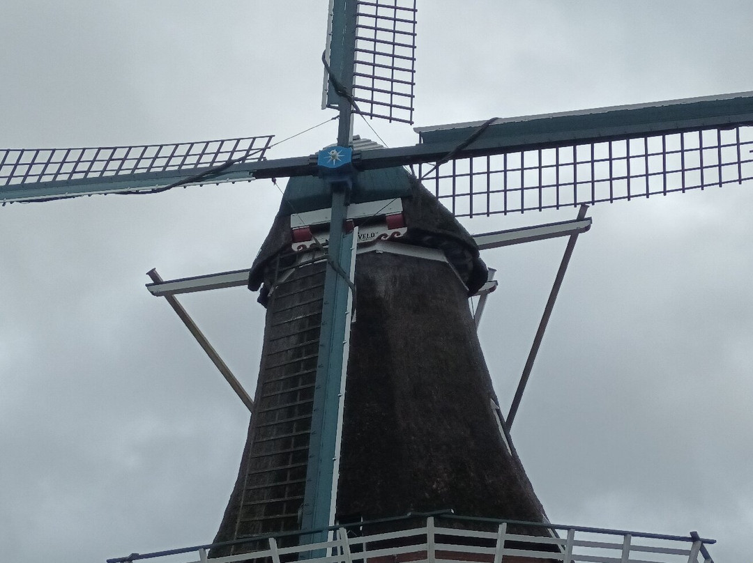 Korenmolen Noordenveld-Norg必去景点