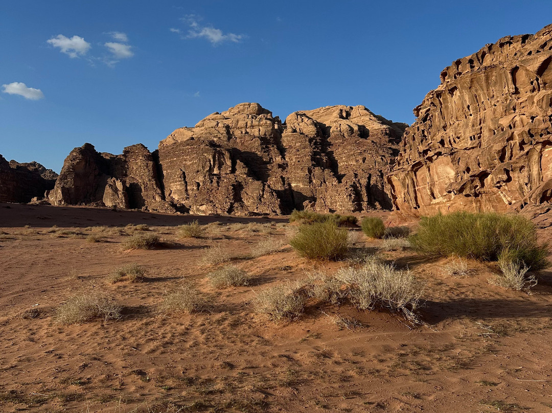 Wadi Rum Desert Adventures - Day Tours-Wadi Rum Village必去景点