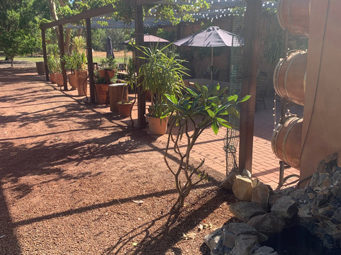 Jadran Wines-Orange Grove必去景点