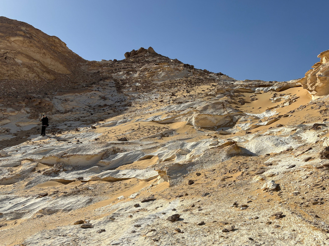 Bahariya Oasis Desert-Bahariya Oasis必去景点
