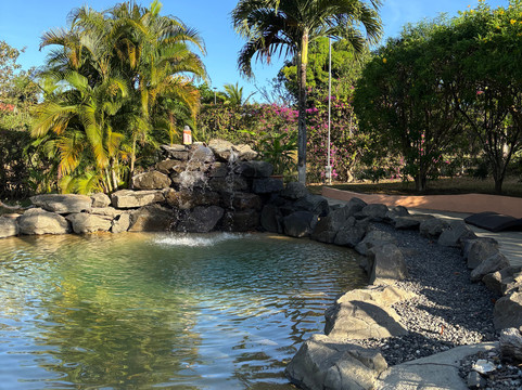 科利布里斯小屋酒店主图