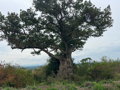 Queen Elizabeth National Park-Kasese必去景点