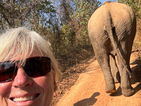 Elephant Conservation Center-Sayaboury必去景点