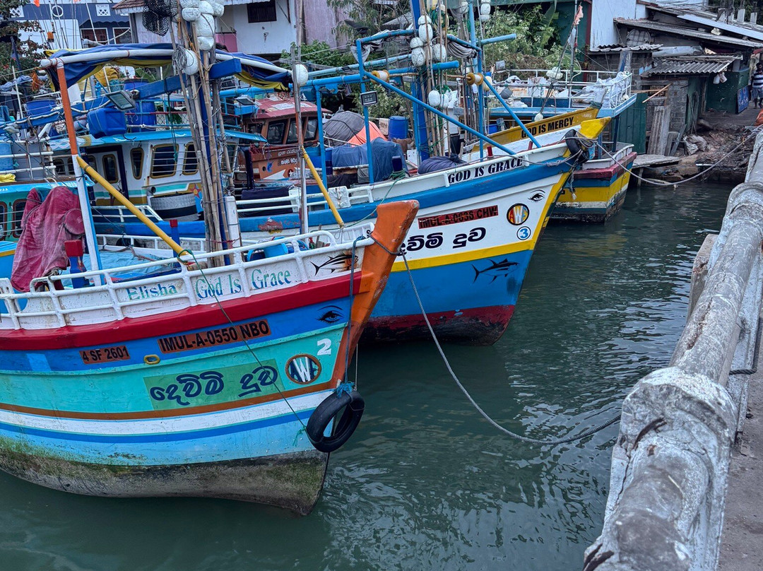 Wonder Sri Lanka Tours-卡图纳耶克必去景点