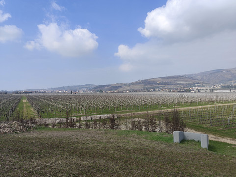 Cantina Buglioni-Corrubbio di Negarine必去景点