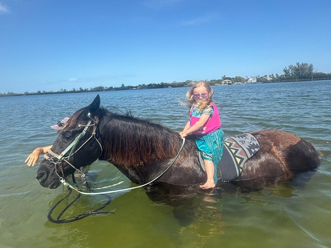 Florida Beach Horses-布雷登顿必去景点