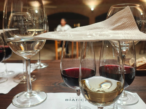 Bodegas Bianchi-圣拉斐尔必去景点