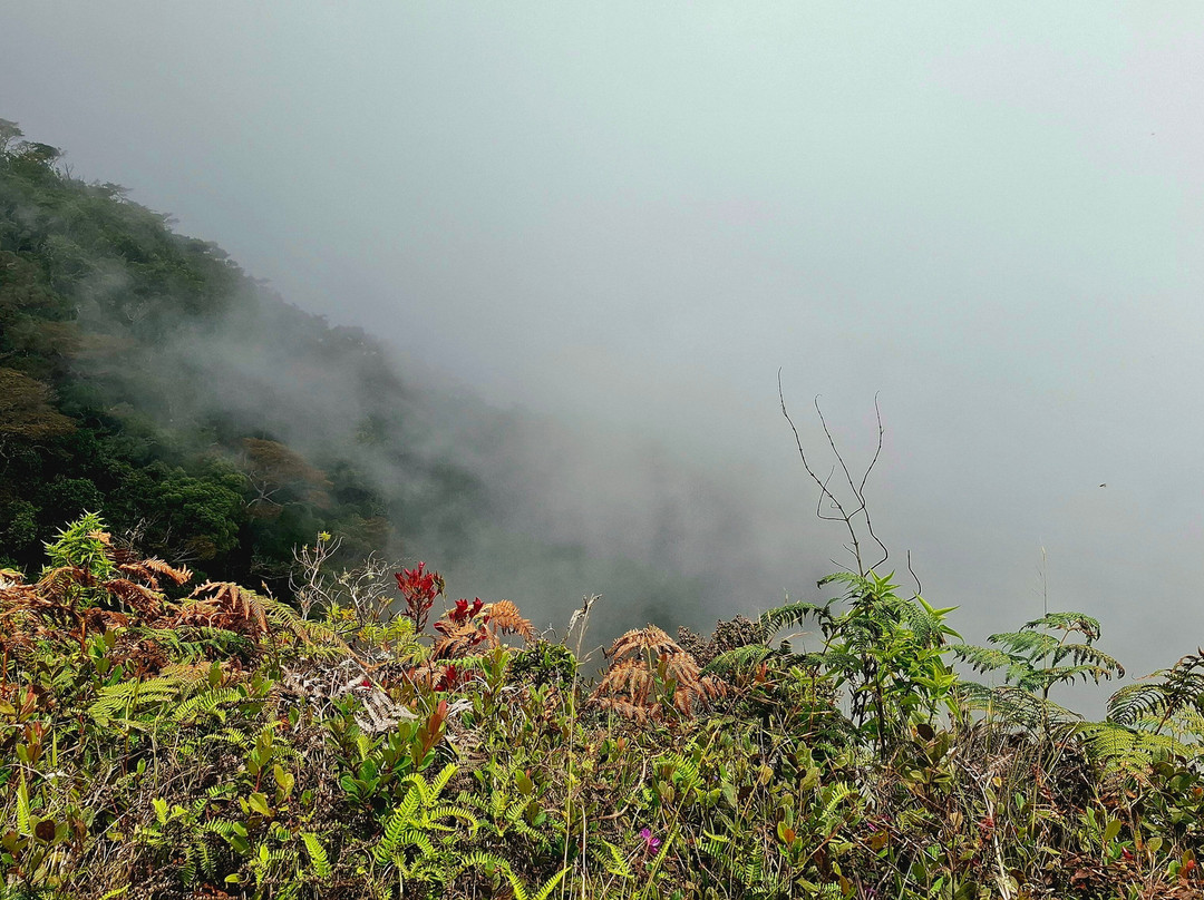 H Tour's Ceylon-Warakapola必去景点