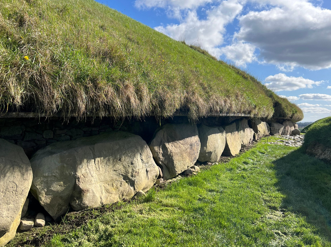 Mary Gibbons Tours-都柏林郡必去景点
