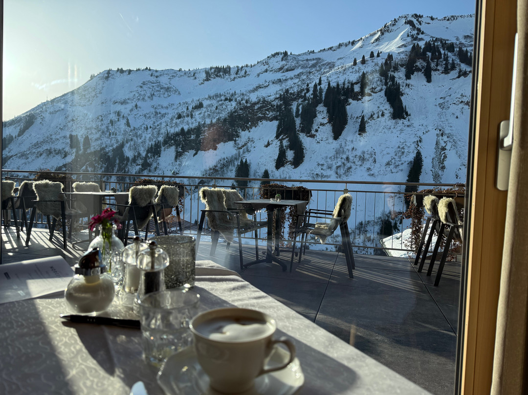 达穆尔森霍夫酒店 - 健康及Spa中心主图