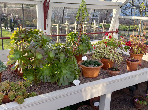 National Trust - Quarry Bank-威姆斯洛必去景点